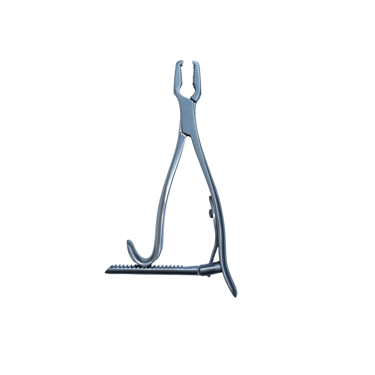 Kern Kemik Tutucu 14 Cm
