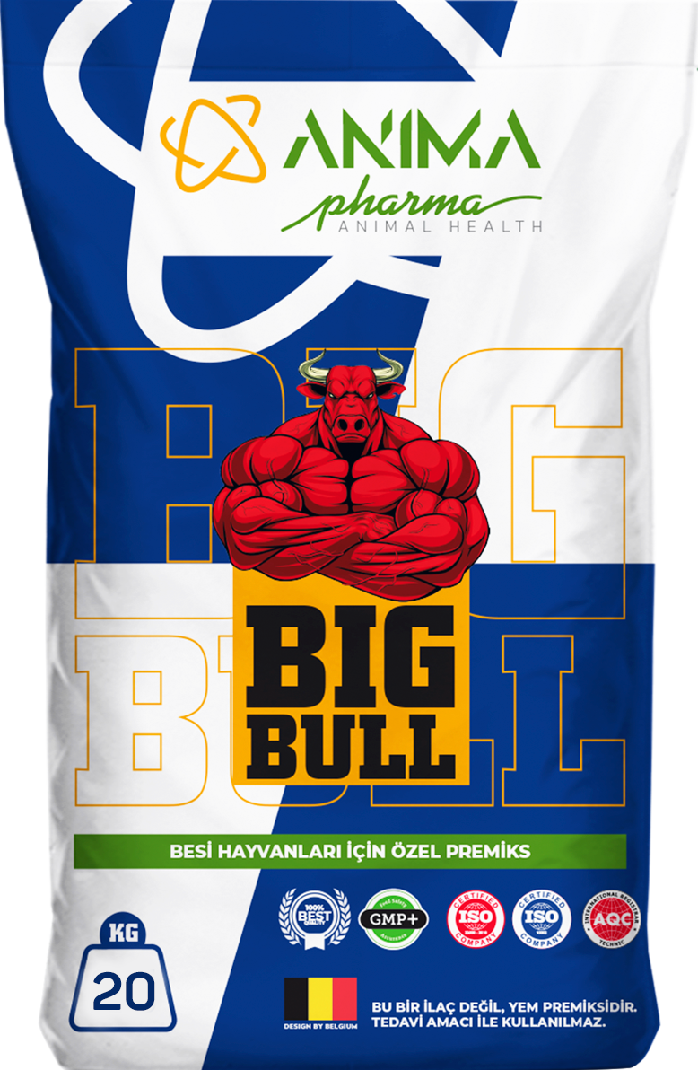 BİGBULL