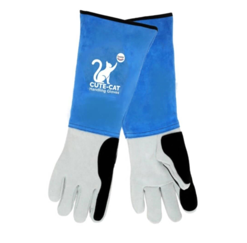 Dedeks Cute Cat Veteriner Kedi Tutma Eldiveni