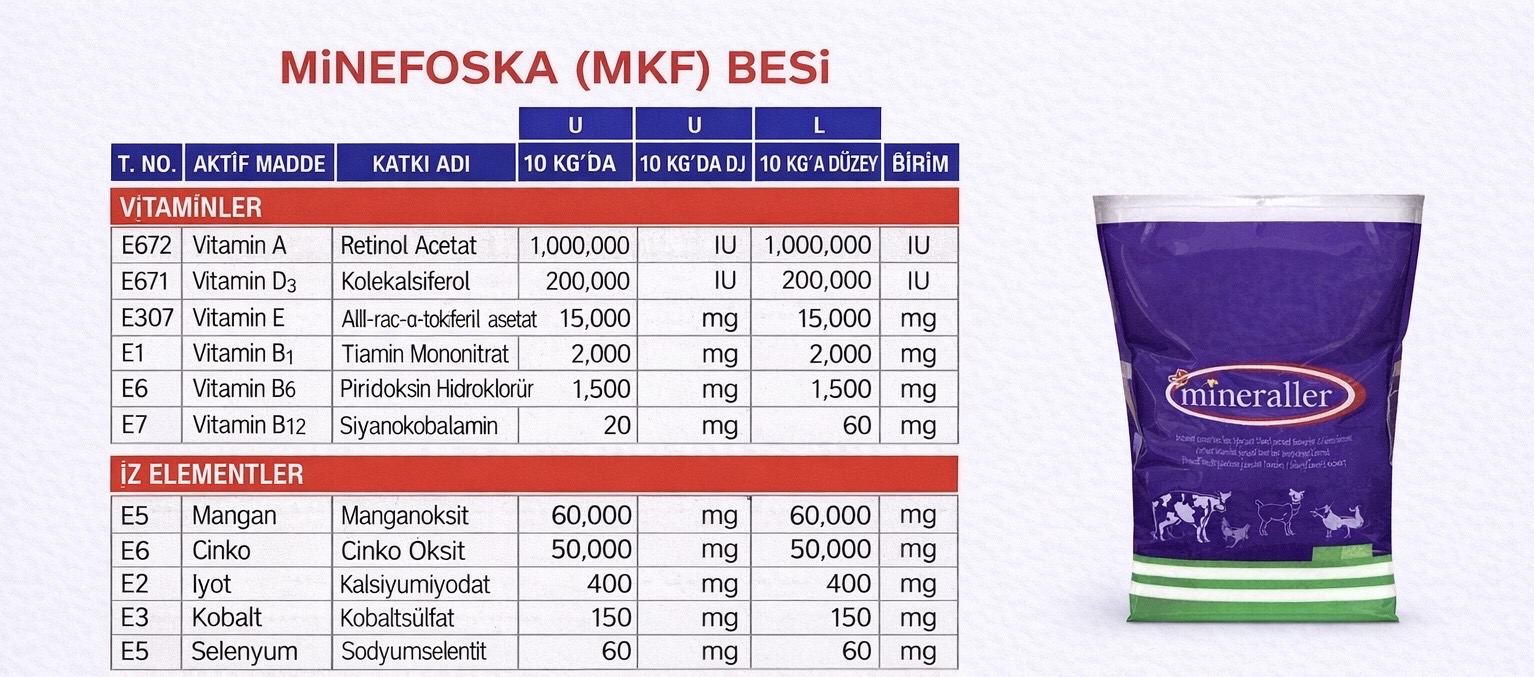 MİNEFOSKA (MKF) BESİ