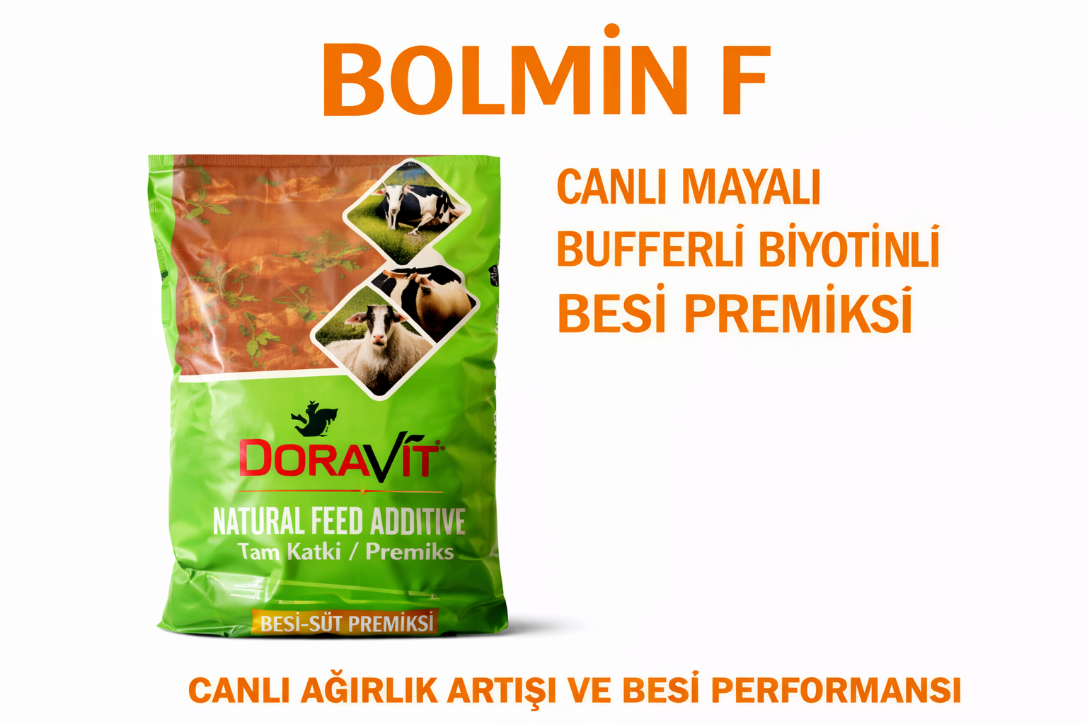 BOLMİN