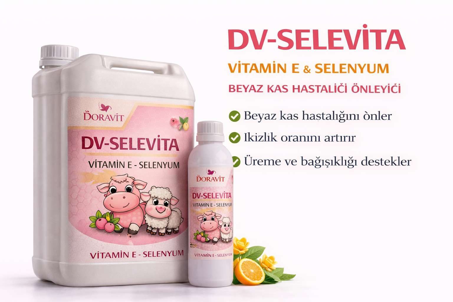 DV-SELEVİTA