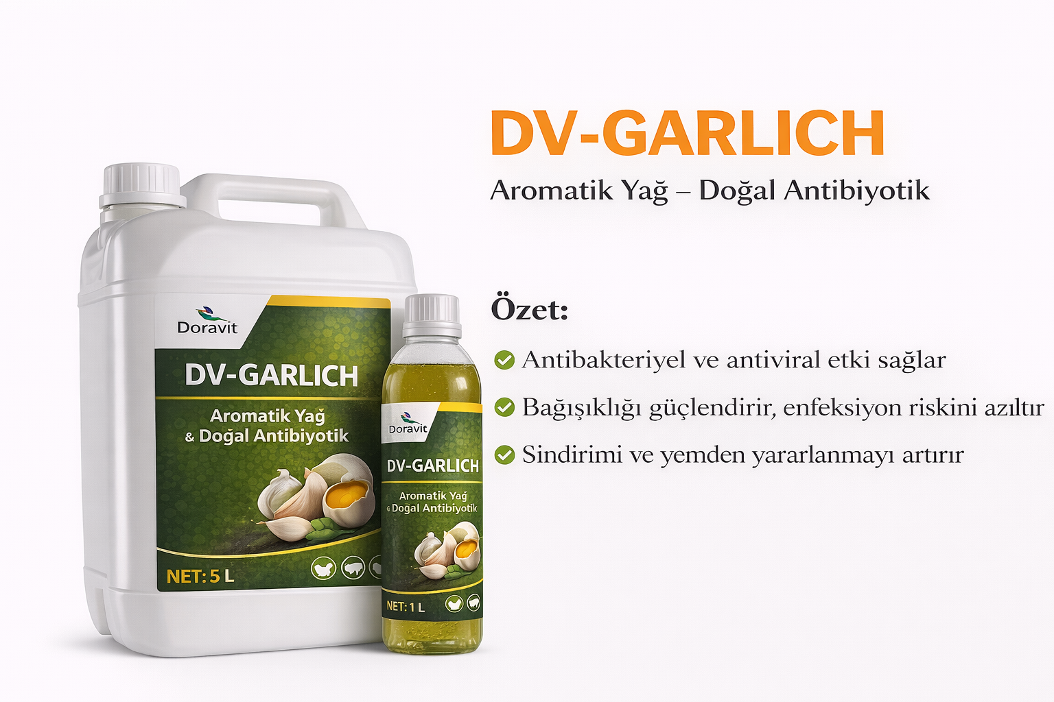 DV-GARLICH