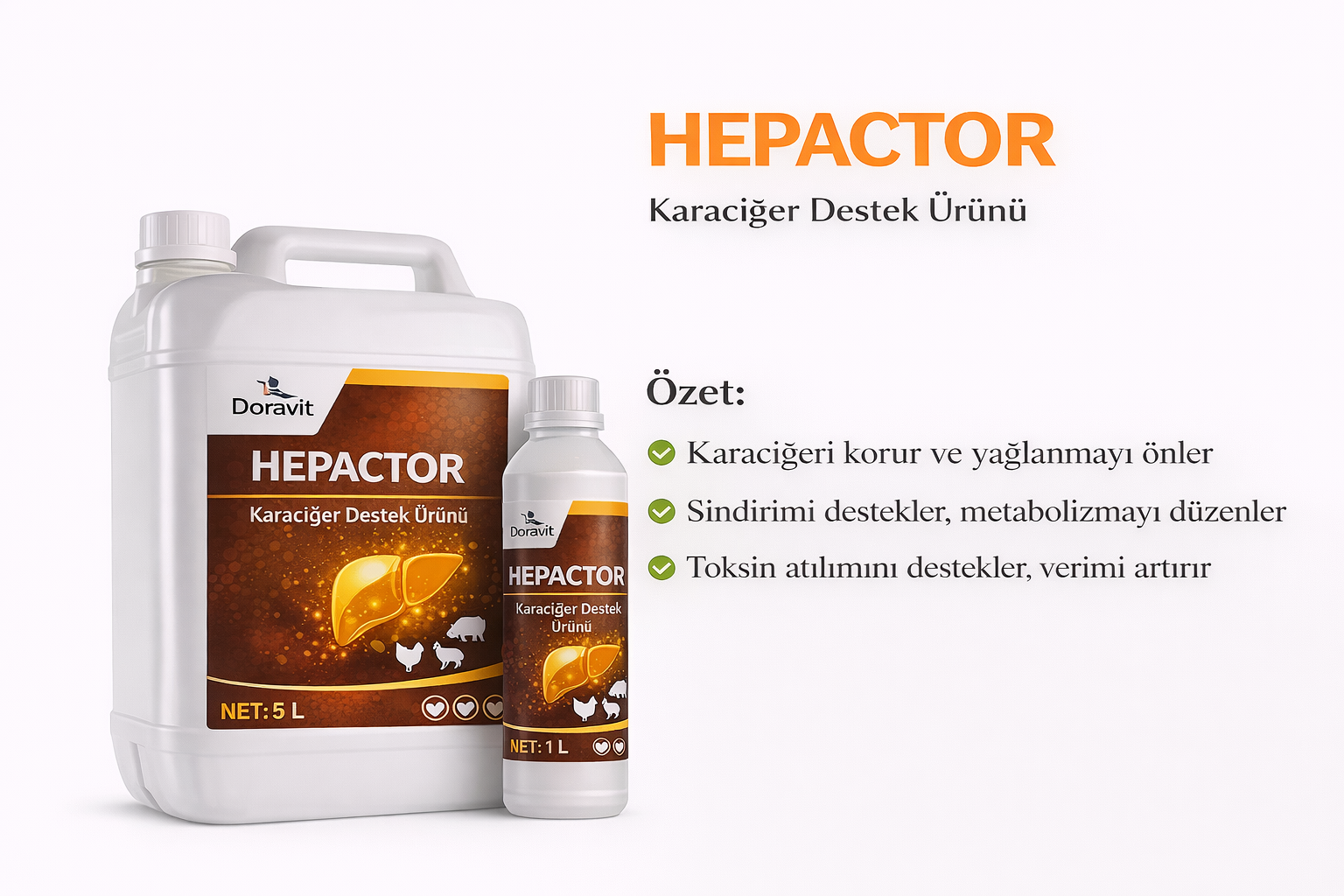 HEPACTOR