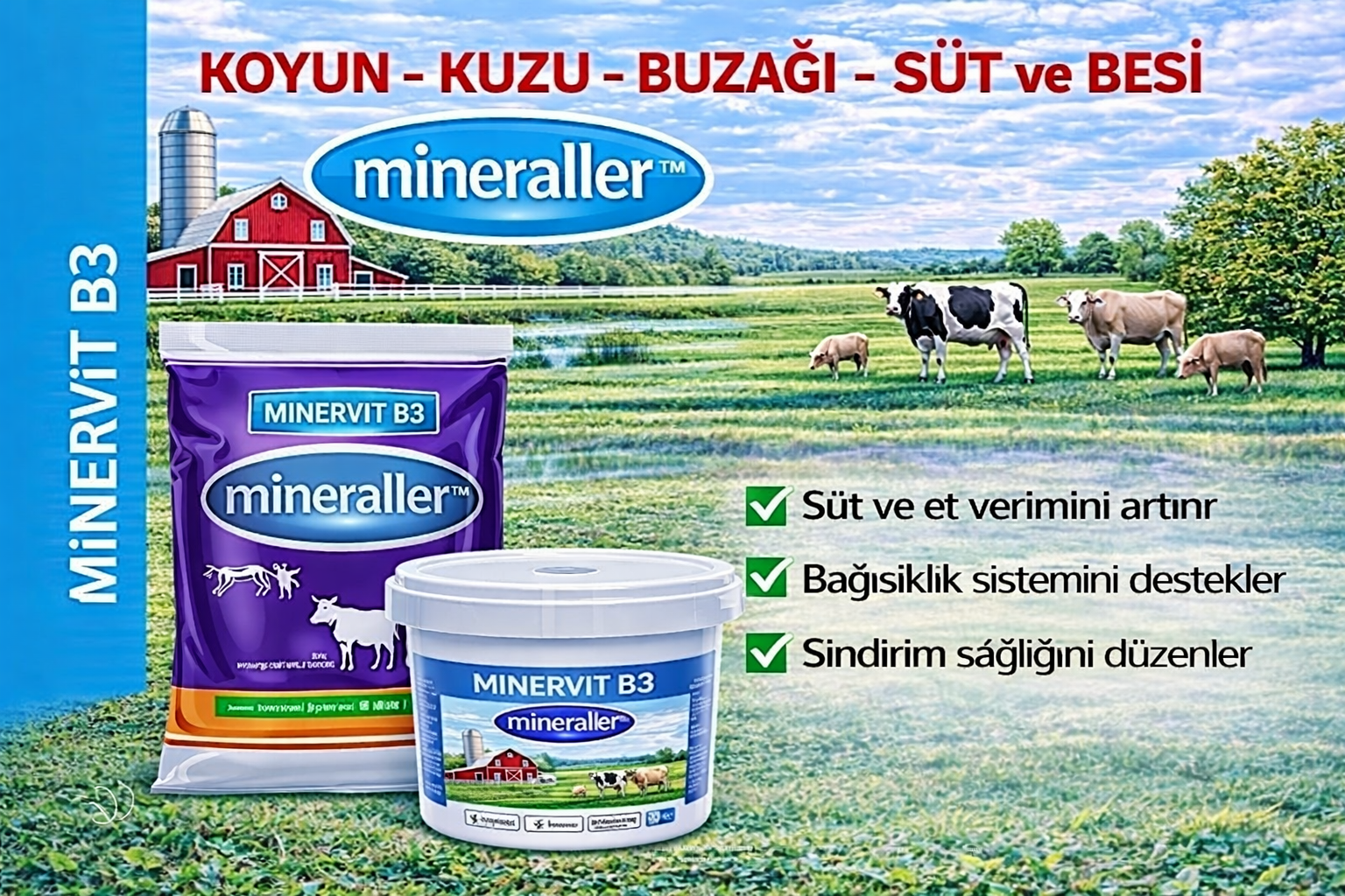 MİNE VİT B3