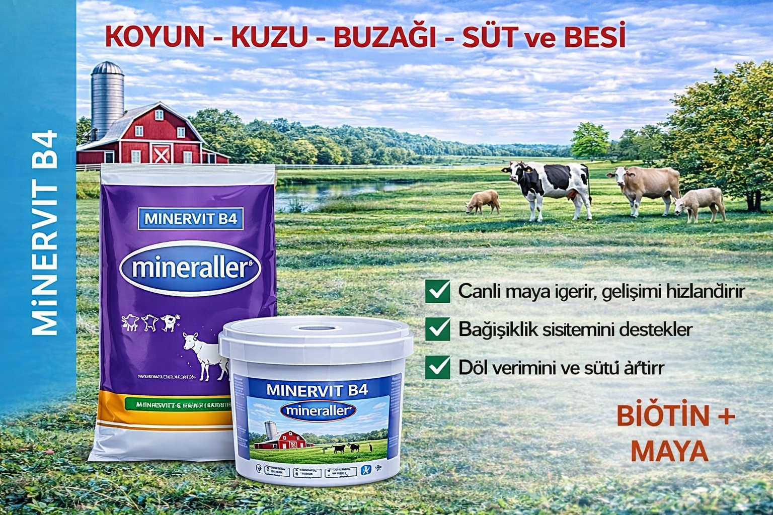 MİNE VİT B4