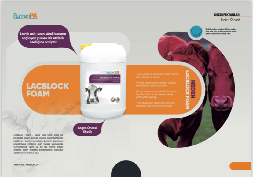 LACBLOCK FOAM SAĞIM ÖNCESİ