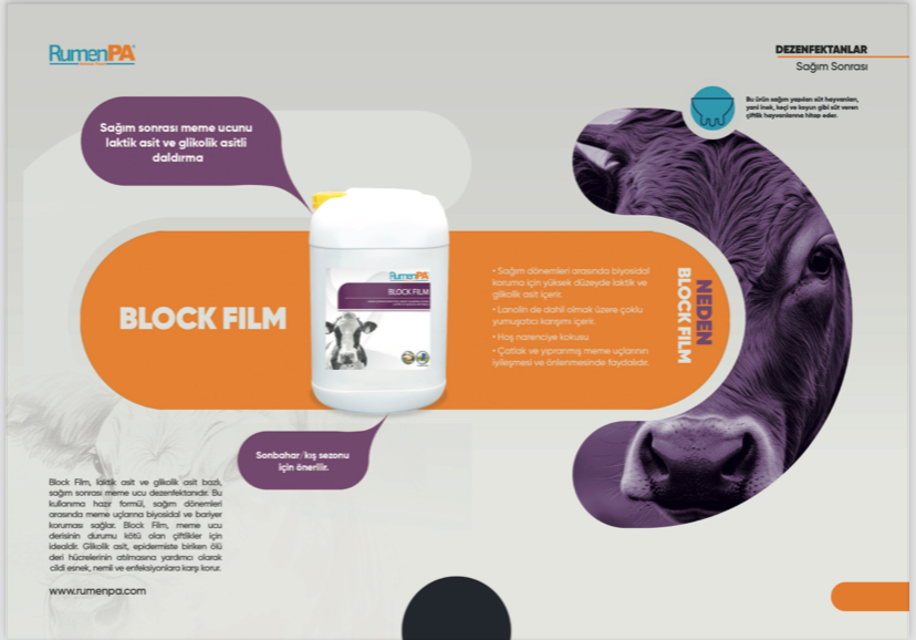 BLOCK FILM SAĞIM SONRASI