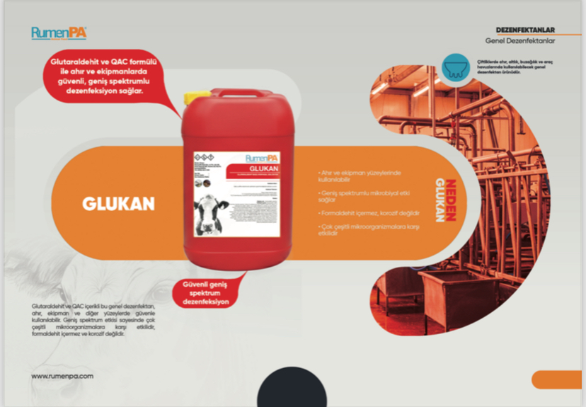 GLUKAN GENEL DEZENFEKTAN