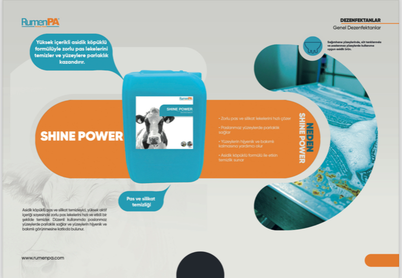 SHINE POWER PAS SÖKÜCÜ